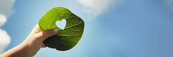 © Nicole Effinger - fotolia.de © Nicole Effinger - fotolia.de